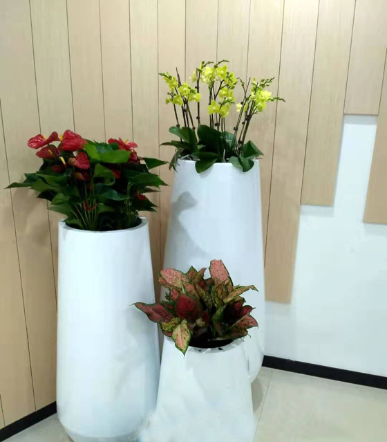 客戶(hù)綠植景觀(guān)擺設(shè)
